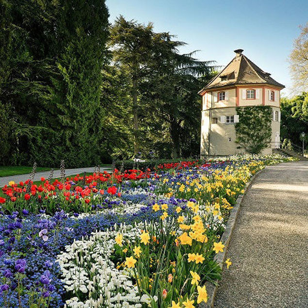 Bild von Jahreskarte für Schüler:innen und Studierende