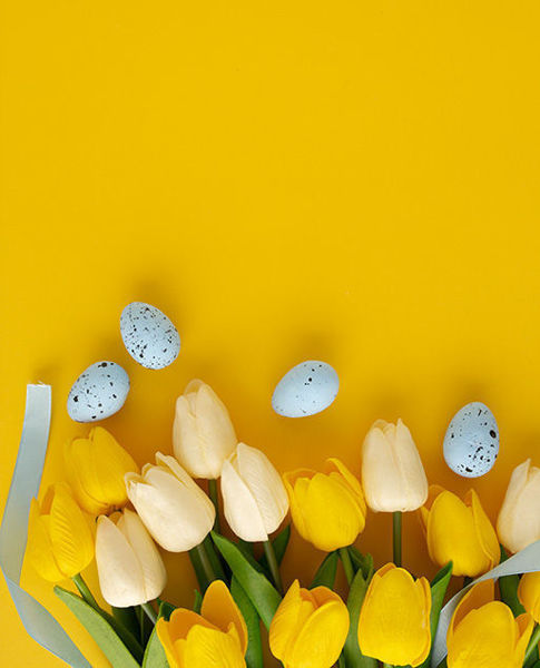 Bild von Osterbrunch 2026