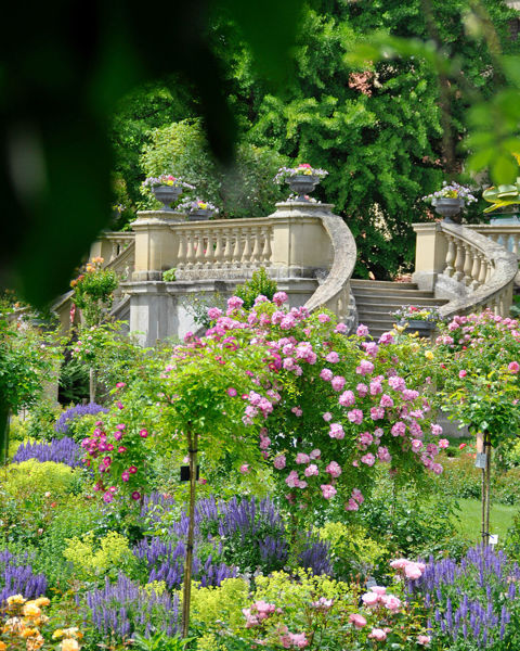 Bild von Italienischer Abend am 13. Juni 2026 im Palmenhaus